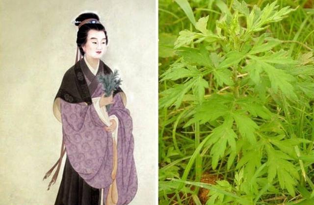 「医史纵横」中国古代四位女医的传奇历史上（上）